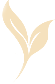 scyllacare